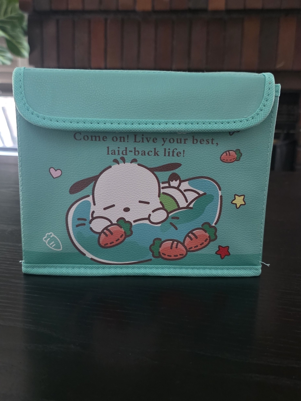 Sanrio Poccacho Storage Container - Picture 2 of 4
